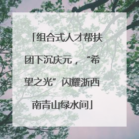 组合式人才帮扶团下沉庆元，“希望之光”闪耀浙西南青山绿水间