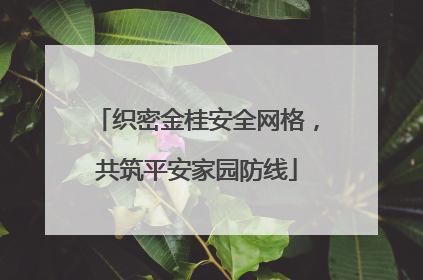 织密金桂安全网格，共筑平安家园防线