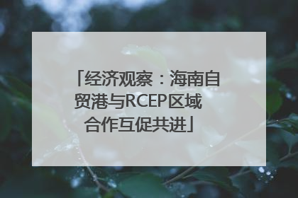 经济观察：海南自贸港与RCEP区域合作互促共进