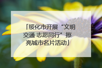 绥化市开展“文明交通 志愿同行”擦亮城市名片活动