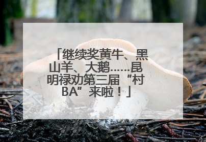 继续奖黄牛、黑山羊、大鹅……昆明禄劝第三届“村BA”来啦！