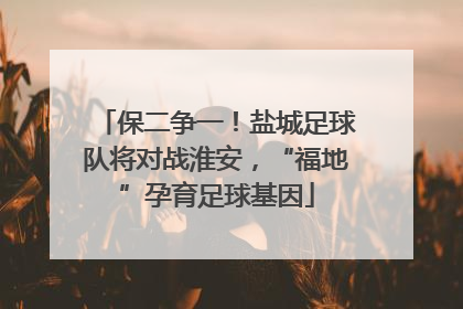 保二争一！盐城足球队将对战淮安，“福地”孕育足球基因