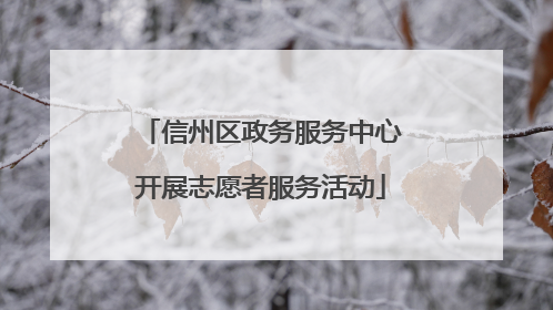 信州区政务服务中心开展志愿者服务活动