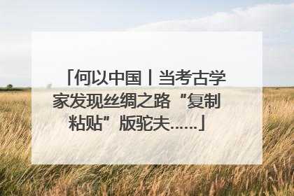 何以中国丨当考古学家发现丝绸之路“复制粘贴”版驼夫……