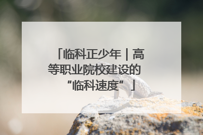 临科正少年｜高等职业院校建设的“临科速度”