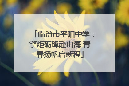 临汾市平阳中学：擎炬砺锋赴山海 青春扬帆启新程