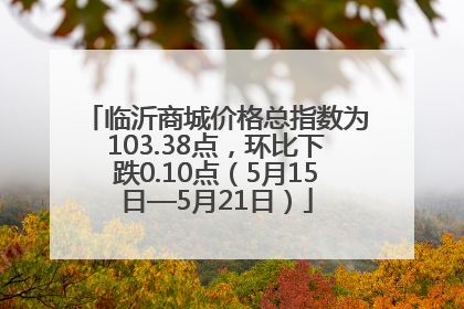 临沂商城价格总指数为103.38点，环比下跌0.10点（5月15日—5月21日）