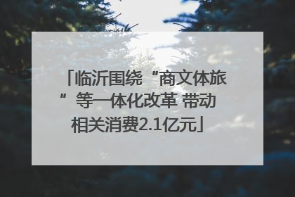临沂围绕“商文体旅”等一体化改革 带动相关消费2.1亿元