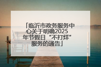 临沂市政务服务中心关于明确2025年节假日“不打烊”服务的通告