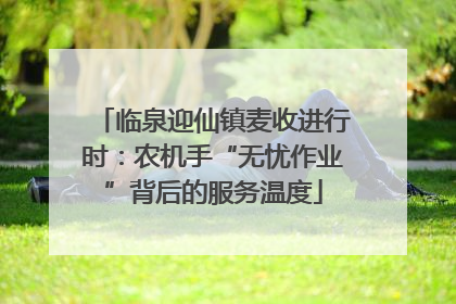 临泉迎仙镇麦收进行时：农机手“无忧作业”背后的服务温度