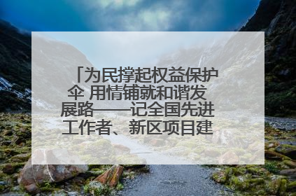 为民撑起权益保护伞 用情铺就和谐发展路——记全国先进工作者、新区项目建设中心干部卢小勇