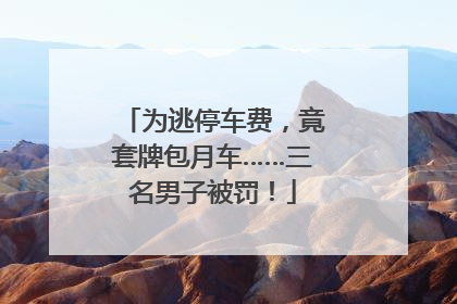 为逃停车费，竟套牌包月车……三名男子被罚！