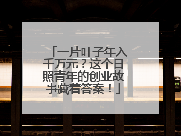 一片叶子年入千万元？这个日照青年的创业故事藏着答案！