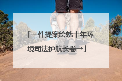 一件提案绘就十年环境司法护航长卷→