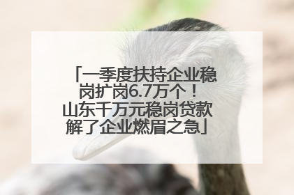 一季度扶持企业稳岗扩岗6.7万个！山东千万元稳岗贷款解了企业燃眉之急