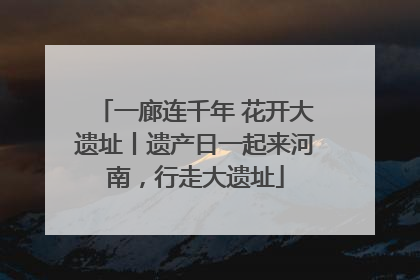 一廊连千年 花开大遗址丨遗产日一起来河南，行走大遗址