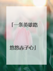 一条英雄路 悠悠赤子心