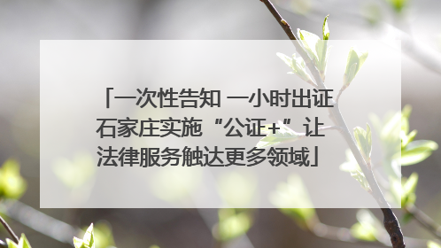 一次性告知 一小时出证 石家庄实施“公证+”让法律服务触达更多领域