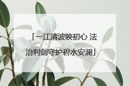 一江清波映初心 法治利剑守护碧水安澜