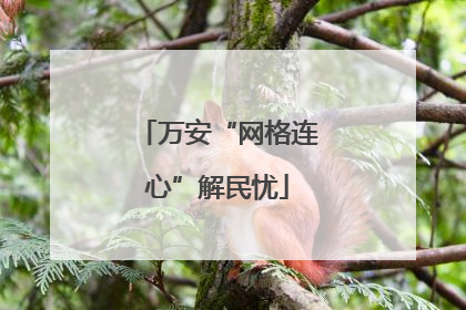 万安“网格连心”解民忧
