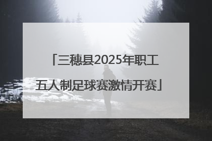 三穗县2025年职工五人制足球赛激情开赛