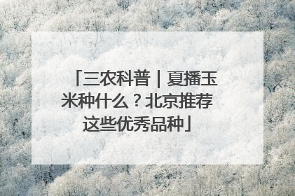 三农科普｜夏播玉米种什么？北京推荐这些优秀品种