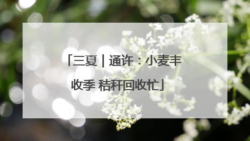 三夏｜通许：小麦丰收季 秸秆回收忙