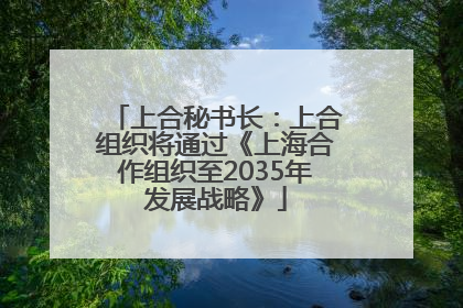 上合秘书长：上合组织将通过《上海合作组织至2035年发展战略》