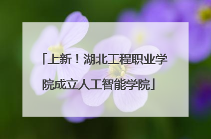 上新！湖北工程职业学院成立人工智能学院