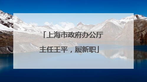 上海市政府办公厅主任王平，履新职