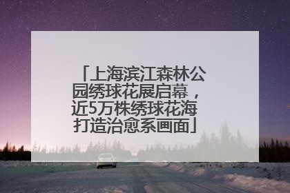 上海滨江森林公园绣球花展启幕，近5万株绣球花海打造治愈系画面