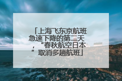 上海飞东京航班急速下降的第二天，“春秋航空日本”取消多趟航班
