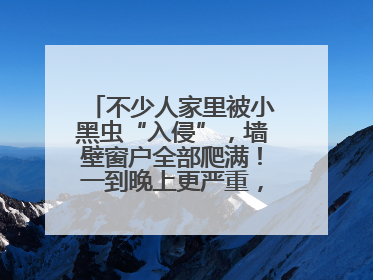 不少人家里被小黑虫“入侵”，墙壁窗户全部爬满！一到晚上更严重，还有一股臭味