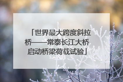 世界最大跨度斜拉桥——常泰长江大桥启动桥梁荷载试验