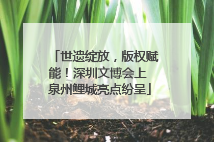 世遗绽放，版权赋能！深圳文博会上 泉州鲤城亮点纷呈
