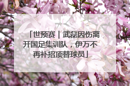 世预赛｜武磊因伤离开国足集训队，伊万不再补招顶替球员