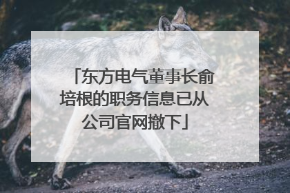 东方电气董事长俞培根的职务信息已从公司官网撤下