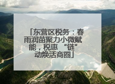 东营区税务：春雨润苗聚力小微赋能，税惠 “链” 动焕活商圈