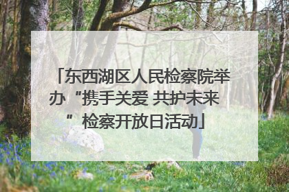 东西湖区人民检察院举办“携手关爱 共护未来”检察开放日活动