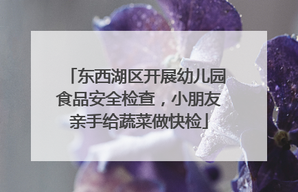 东西湖区开展幼儿园食品安全检查，小朋友亲手给蔬菜做快检