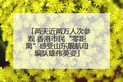 两天近两万人次参观 香港市民“零距离”感受山东舰航母编队雄伟英姿