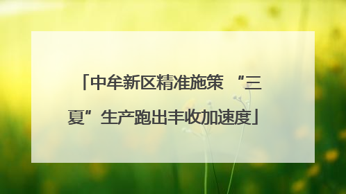 中牟新区精准施策 “三夏”生产跑出丰收加速度