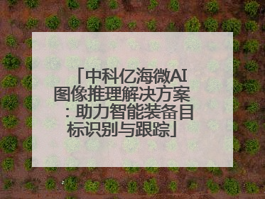 中科亿海微AI图像推理解决方案：助力智能装备目标识别与跟踪