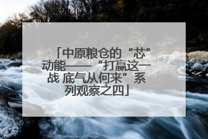 中原粮仓的“芯”动能——“打赢这一战 底气从何来”系列观察之四