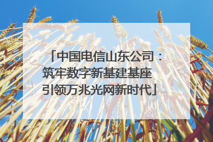 中国电信山东公司：筑牢数字新基建基座 引领万兆光网新时代