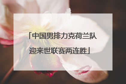 中国男排力克荷兰队 迎来世联赛两连胜