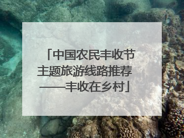 中国农民丰收节主题旅游线路推荐——丰收在乡村