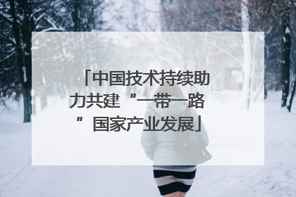 中国技术持续助力共建“一带一路”国家产业发展