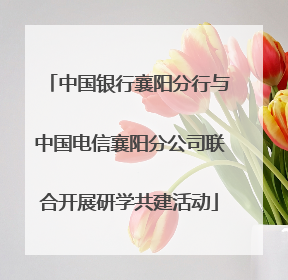 中国银行襄阳分行与中国电信襄阳分公司联合开展研学共建活动