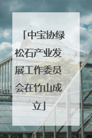 中宝协绿松石产业发展工作委员会在竹山成立